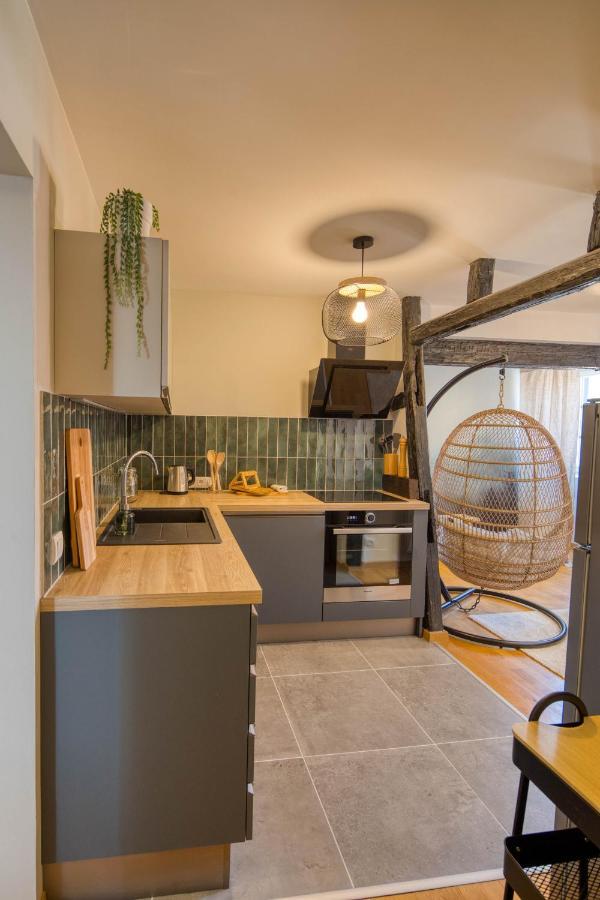 Appartement Le Verdoyant Hyper Centre Avec Sauna Et Parking Кольмар Экстерьер фото