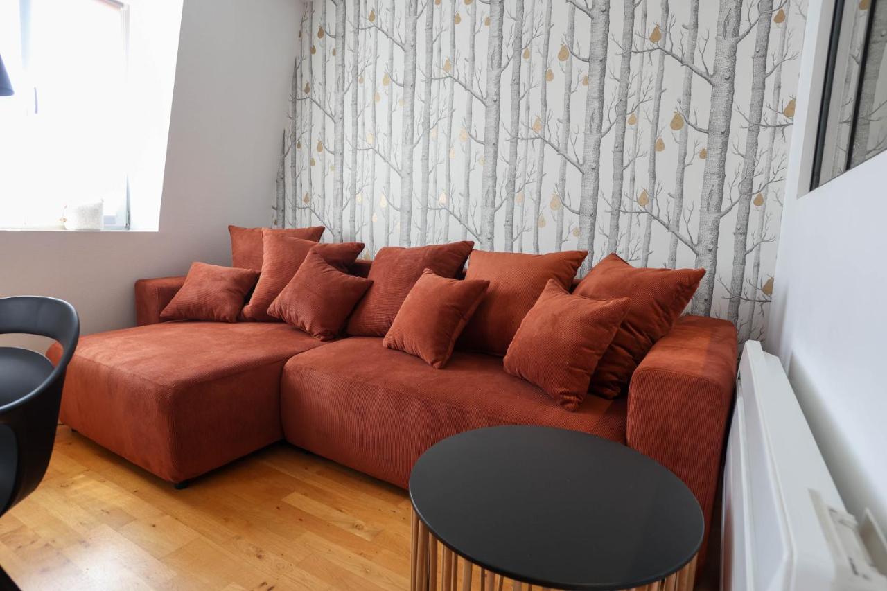 Appartement Le Verdoyant Hyper Centre Avec Sauna Et Parking Кольмар Экстерьер фото