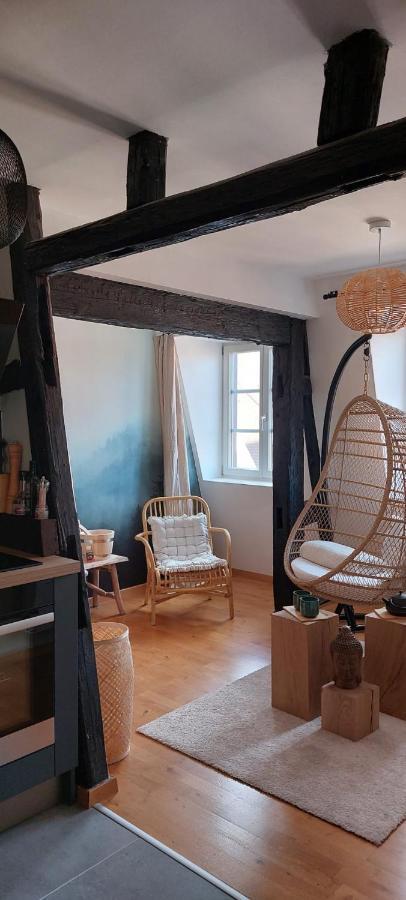 Appartement Le Verdoyant Hyper Centre Avec Sauna Et Parking Кольмар Экстерьер фото